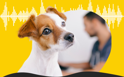 Podcast VET-&Agrave;-T&Ecirc;TE | Epis&oacute;dio #1